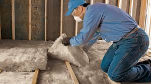 Best Wall Insulation Installation  in Seis Lagos, TX